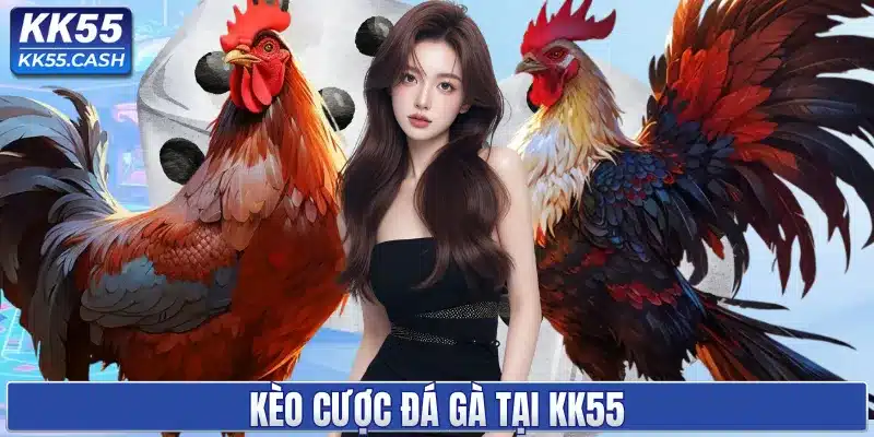 Kèo cược đá gà tại KK55