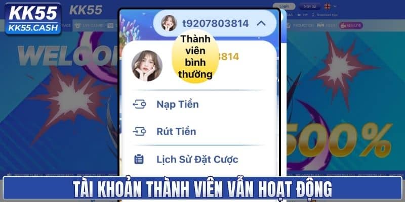 Tài khoản thành viên đang hoạt động bình thường
